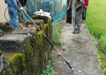 चमोली: पागल कुत्तों का आतंक, 3 दिन स्कूल बंद; ऑनलाइन पढ़ाई रहेगी जारी